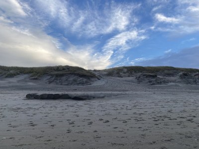 Bungalow Verste Coogh 52 - Environment photo 23