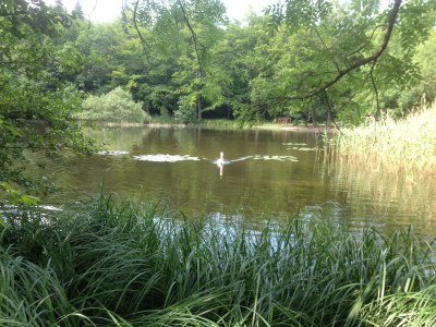 Holiday house Kißner - Environment photo 37