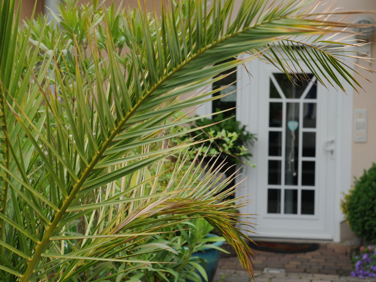 Holiday apartment Gabriele Heigert - Outdoor photo 2