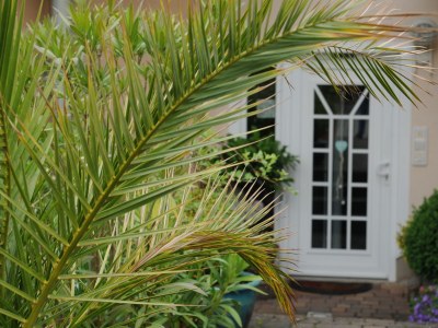 Holiday apartment Gabriele Heigert - Outdoor photo 2