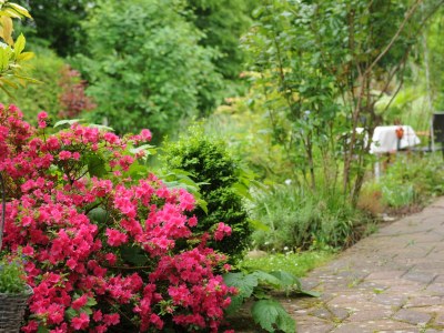 Holiday apartment Gabriele Heigert - Outdoor photo 7