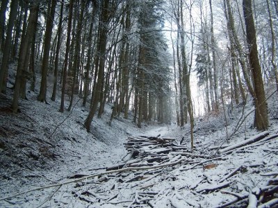 Holiday house Margaretenhof - Environment photo 16