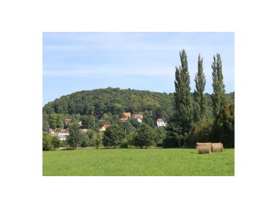 Holiday apartment Ferienwohnung im Chalet-Stil - Environment photo 21