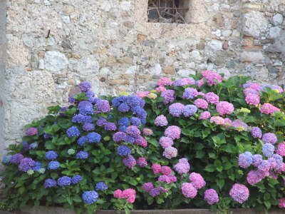 Cottage Casa Veritá - Outdoor photo 7