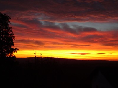 Holiday apartment "Josefine" near Trier (Germany)(7km) - Environment photo 23