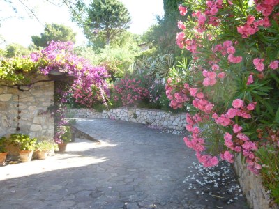 Holiday house Casa Amore - Environment photo 19