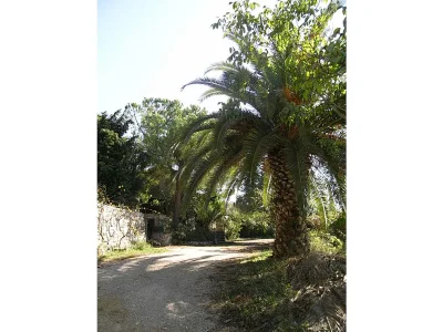 Holiday house Casa Amore - Environment photo 20