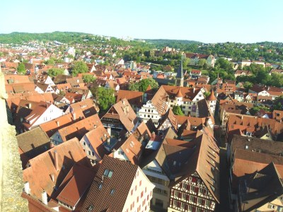 Holiday apartment 6 person holiday home in Brekke - Environment photo 17