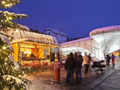 Holiday apartment Villa Hungerburg/Nordpark Innsbruck - Environment photo 30