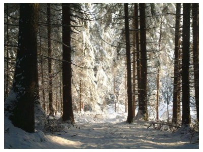 Holiday apartment Villa Hungerburg/Nordpark Innsbruck - Environment photo 36