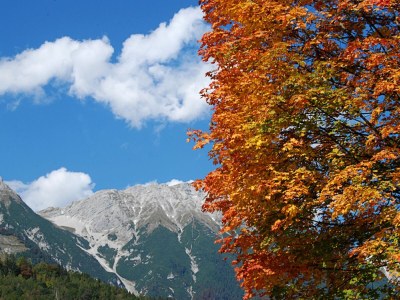 Holiday apartment Villa Hungerburg/Nordpark Innsbruck - Environment photo 37