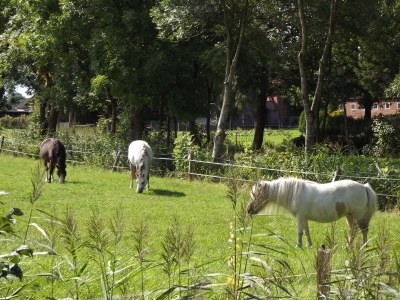 Holiday house Grietje - Environment photo 28