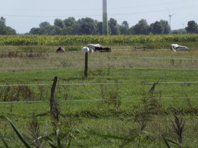 Holiday house Grietje - Environment photo 29