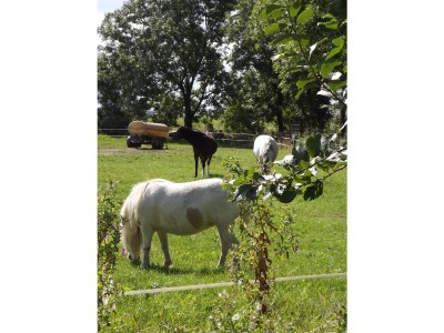 Holiday house Grietje - Environment photo 30