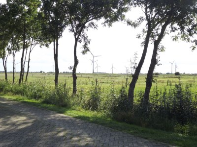 Holiday house Grietje - Environment photo 31