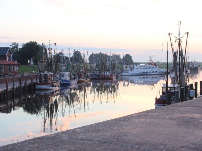 Holiday house Grietje - Environment photo 32