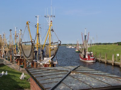 Holiday house Grietje - Environment photo 33