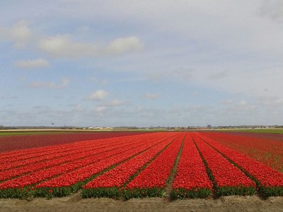 Holiday house Seestern Nr. 250 - Environment photo 20