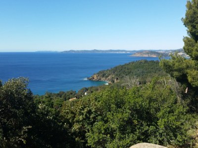 Villa Celovia - Environment photo 30