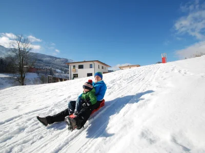 Holiday apartment Sonnberg - Environment photo 17