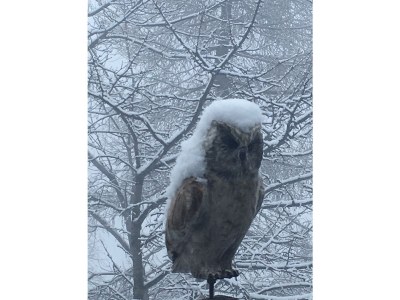 Holiday house Kuschelhaus zum Wohlfühlen - Document photo 24