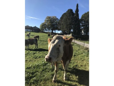 Holiday house Wersterbuchberg - Environment photo 28