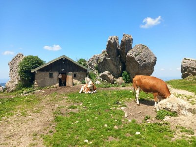 Holiday house Wersterbuchberg - Environment photo 33