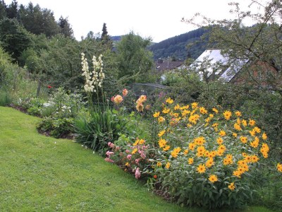 Holiday apartment Schmahl - Outdoor photo 5