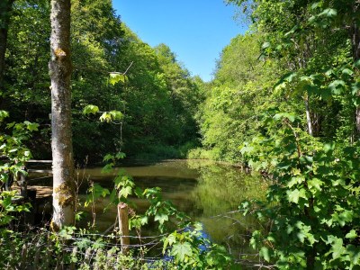 Holiday apartment Schmahl - Outdoor photo 11