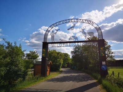 Holiday apartment Schmahl - Environment photo 24