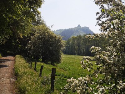 Holiday apartment Schmahl - Environment photo 29