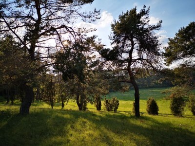 Holiday apartment Schmahl - Environment photo 30