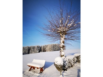 Holiday apartment Schmahl - Environment photo 37