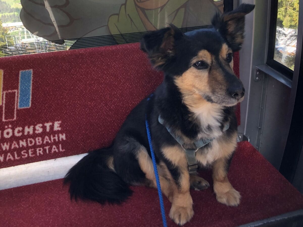 Holiday apartment Marmot