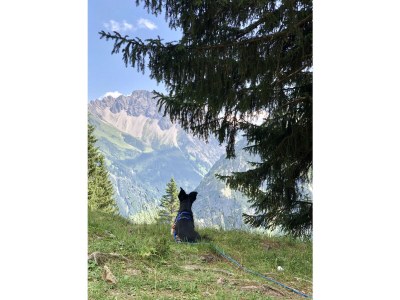 Holiday apartment Marmot - Outdoor photo 10