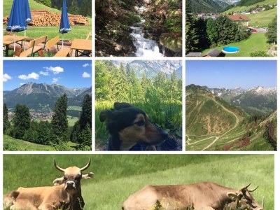 Holiday apartment Marmot - Outdoor photo 18