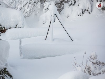 Holiday apartment S'Verschnaufnäschtli - Outdoor photo 11