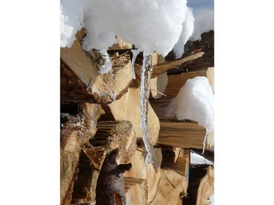 Holiday apartment S'Verschnaufnäschtli - Outdoor photo 12