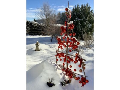 Holiday apartment S'Verschnaufnäschtli - Outdoor photo 15