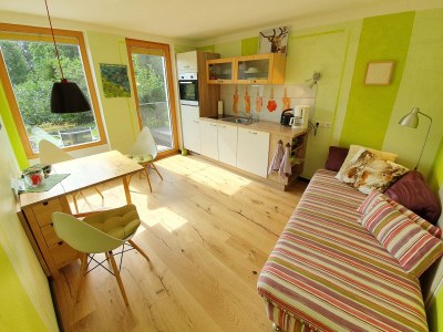 Holiday apartment S'Verschnaufnäschtli - Features photo 17