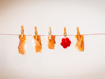 Holiday apartment S'Verschnaufnäschtli - Features photo 21