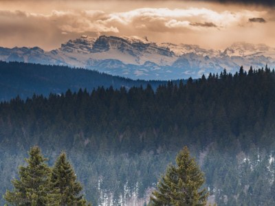 Holiday apartment S'Verschnaufnäschtli - Environment photo 29