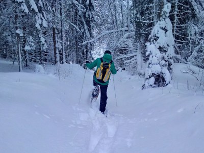 Holiday apartment S'Verschnaufnäschtli - Environment photo 32