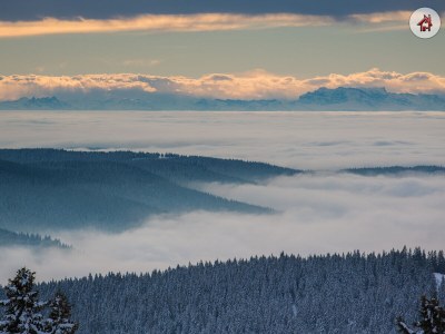 Holiday apartment S'Verschnaufnäschtli - Environment photo 35
