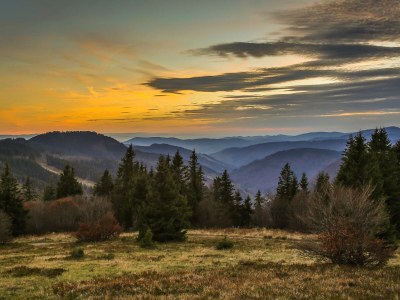 Holiday apartment S'Verschnaufnäschtli - Environment photo 36