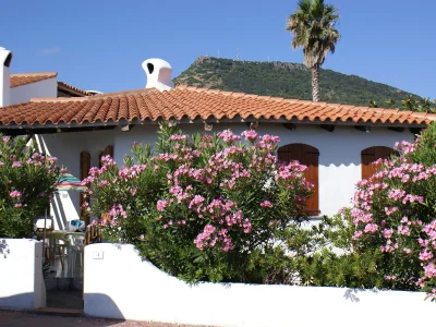 Holiday house Ferienhaus Sa Fiorida Typ Milli - Outdoor photo 5