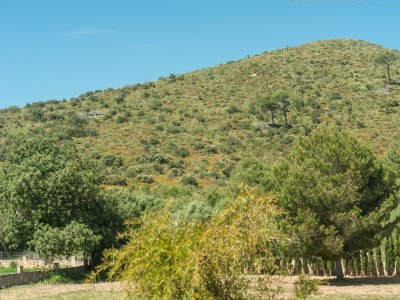 Finca Villa Bona Vista - Environment photo 26