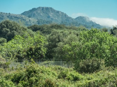 Finca Villa Bona Vista - Environment photo 27