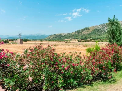 Finca Can Corro - Environment photo 28