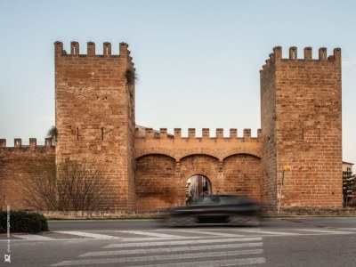 Finca Can Corro - Environment photo 31